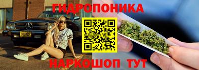 стаф Камышлов