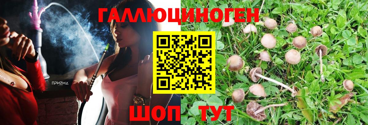 Галлюциногенные грибы Cubensis Краснотурьинск